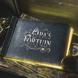 Diary of grandfather's fortune